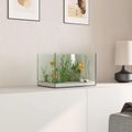 vidaXL Akvárium s úložiskom Priehľadná 30 x 20 x 20 cm Sklo