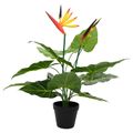 vidaXL Umelá rastlina Strelitzia Zelená 65 x 13 x 55 cm