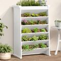 vidaXL Kvetináč na bylinky 6-poschodový biely 69x40x101,5cm borovica