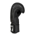 Boxerské rukavice DBX BUSHIDO B-2v18 10 oz