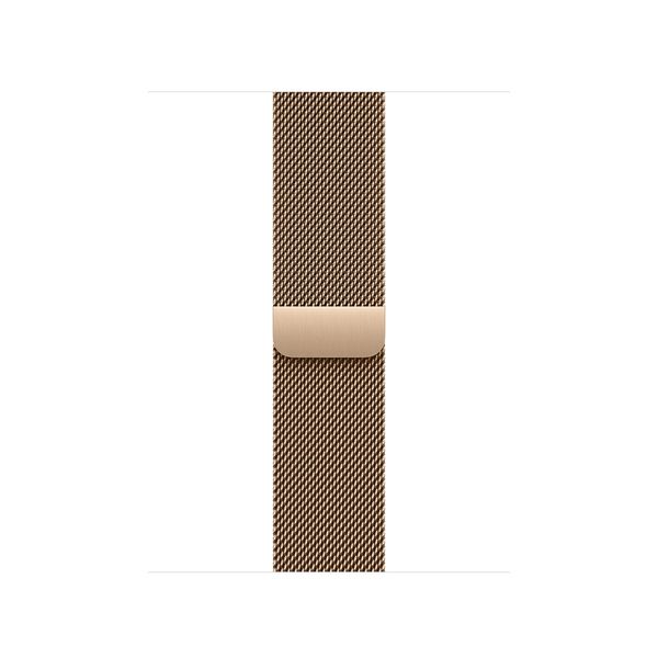 Watch Acc/40/Gold Milanese Loop