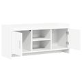 vidaXL TV skrinka 102 x 33 x 47 cm Biela Kompozitné drevo