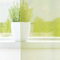 vidaXL Voálové závesy s priechodkami 2 ks Apple Green 140x245 cm