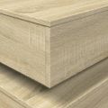 vidaXL Konferenčný stolík s LED osvetlením dub sonoma 90x50x40 cm