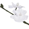 vidaXL Umelá rastlina, orchidea s kvetináčom 30 cm, biela