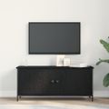vidaXL TV skrinka 100 x 35 x 45 cm Čierny dub Kompozitné drevo