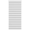 vidaXL Zebra roleta svetlosivá 100x230 cm šírka látky 95,9cm polyester