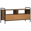vidaXL TV skrinka 67,5 x 33 x 50 cm Dymový dub Kompozitné drevo