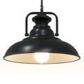 vidaXL Závesná lampa E27 čierna Ø 31 cm železná