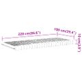 vidaXL Penový matrac biely 100x220 cm 7 zón tvrdosť 20 ILD