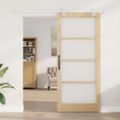 vidaXL Posuvné dvere 93 x 211 cm Masívne borovicové drevo a sklo