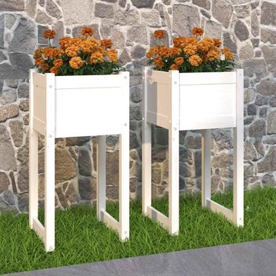 VidaXL Kvetináče 2 ks biele 40x40x81 cm masívna borovica