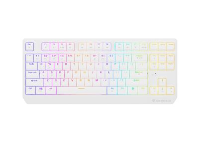 GENESIS herná klávesnica THOR 230/TKL/RGB/Outemu Red/Bezdrôtová USB + Bluetooth/US layout/Biela