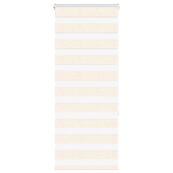 vidaXL Zebra roleta 60x150 cm šírka látky 55,9 cm polyester