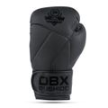 Boxerské rukavice DBX BUSHIDO B-2v15B 16 oz