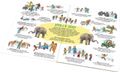 Velká knížka ZOO pro malé vypravěče