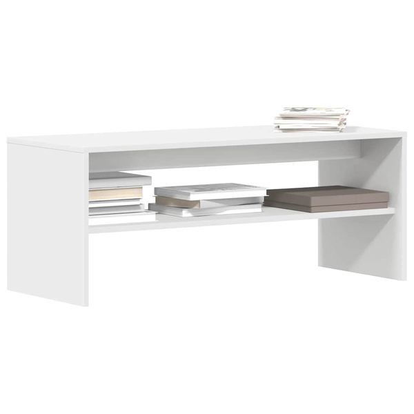 vidaXL TV skrinka biela 120x40x40 cm drevotrieska