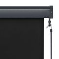 vidaXL Vonkajšia zatemňovacia roleta 80x250 cm antracitová