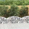 vidaXL Oblúkový gabionový kôš 150x50x40/60 cm pozinkované železo