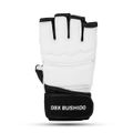 Rukavice na taekwondo DBX BUSHIDO DBX-T-1 M
