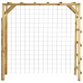 vidaXL Preliezačka s futbalovou bránkou 170x60x170 cm impregnovaná borovica