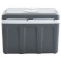 vidaXL Prenosný termoelektrický chladiaci box 40 l 12 V 230 V E
