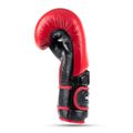 Boxerské rukavice DBX BUSHIDO Warrior RED 14 oz