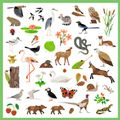 Samolepky Fauna 160 ks