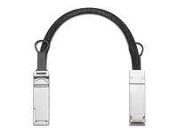 Kábel na priame pripojenie 200GBase - QSFP na QSFP - 40 cm - optické vlákno
