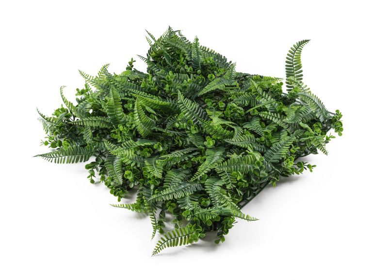 Umelá zelená stena G21 Listo Ferns, 50x50 cm