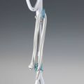 Ariete Steam Mop 10in1 4164