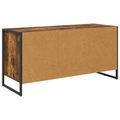 vidaXL TV skrinka 100 x 36 x 49.5 cm Dymová dub Kompozitné drevo