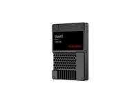 SanDisk SN861 - SSD - Enterprise - šifrovaný - 3.84 TB - interný - 2.5" - U.2 PCIe 5.0 x4 (NVMe) - TCG Opal Encryption