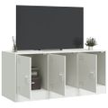 vidaXL TV skrinka biela 99x39x44 cm oceľ
