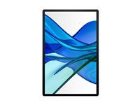 Series 5 Pro - LED monitor - 14" - prenosný - 2560 x 1600 WQXGA @ 75 Hz - IPS - 400 cd/m² - 2000:1 - 7 ms - USB-C - strieborný stojan