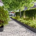 vidaXL Obrubník trávnika 30 ks 20 x 103 cm Čierna