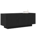 vidaXL TV skrinka 100 x 35 x 40 cm Čierny dub Kompozitné drevo