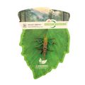 Hmyz - saranče 7 cm