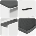 vidaXL Predsieňová lavica Biely 100 x 38 x 46 cm