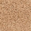 vidaXL Samolepiace schodové rohože 15 ks 80 x 24,5 x 3,5 cm Béžová