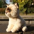 Plyšová mačka ragdoll 23 cm ECO-FRIENDLY SOFT