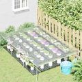 vidaXL Priehľadná plachta s okami 2x3 m PVC