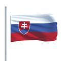 vidaXL Vlajka Slovensko 90x150 cm