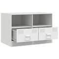 vidaXL TV skrinka biela 67x39x44 cm oceľ