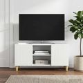 vidaXL TV skrinka Biela 102 x 34,5 x 50 cm Kompozitné drevo