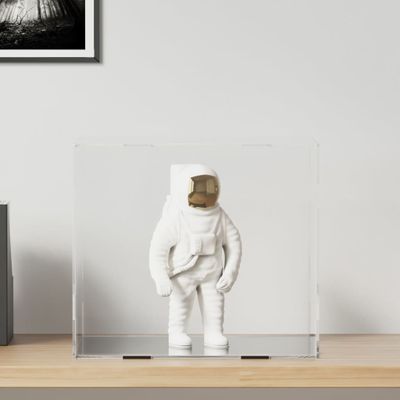 vidaXL Priehľadná reklamná krabica 40x36x35 cm akrylová