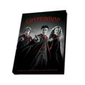 Darčeková sada Harry Potter - Harry, Ron a Hermiona