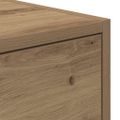vidaXL TV skrinka Artisan Dub 100x31x25,5 cm Drevo