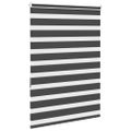 vidaXL Zebra roleta čierna 95x150 cm šírka látky 90,9 cm polyester