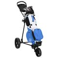 vidaXL Golfový vozík Čierna Železo Skladací